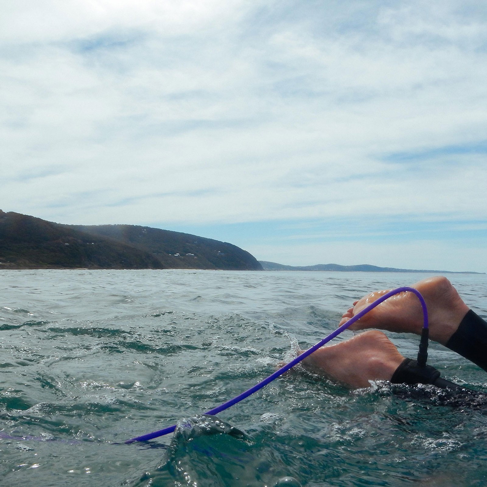 <?php echo pulse_output(); ?>